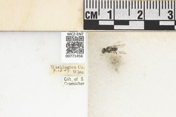 Media type: image;   Entomology 771456 Aspect: Labels